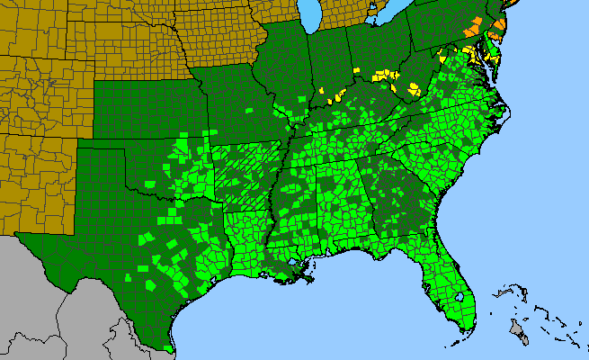 The range of Galactia volubilis